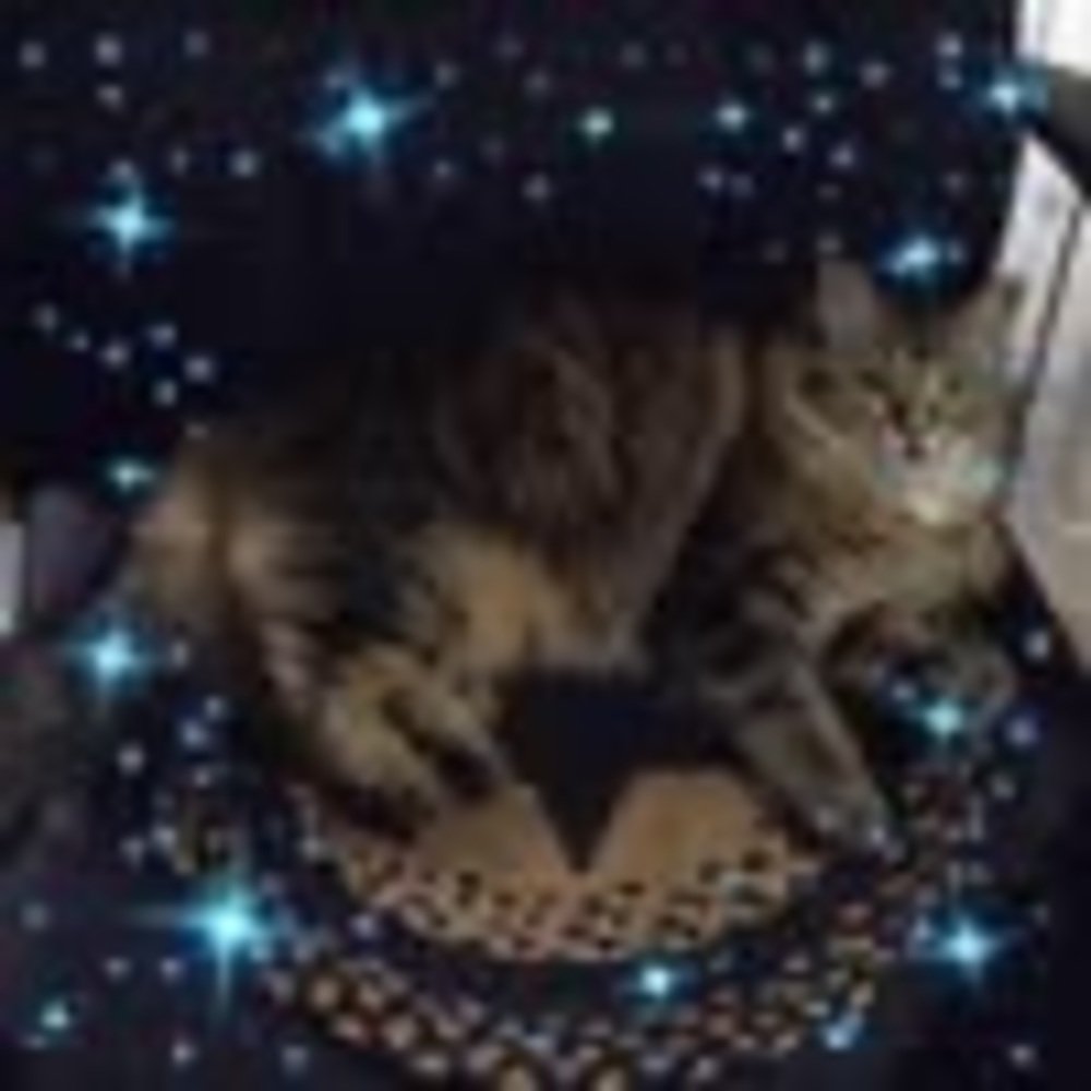 Meet your Posher, Mary m.